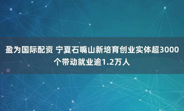 盈为国际配资 宁夏石嘴山新培育创业实体超3000个带动就业逾1.2万人